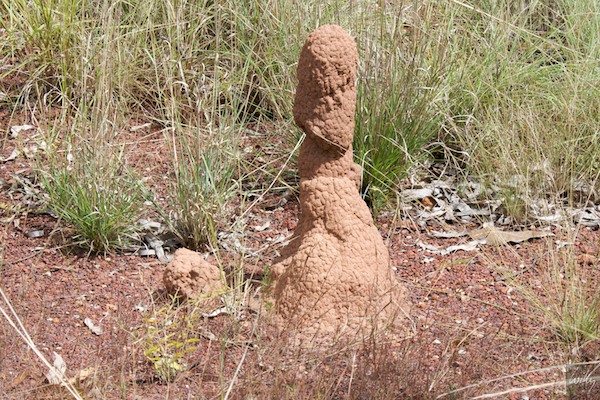 AustraliaAdelaide 10  073